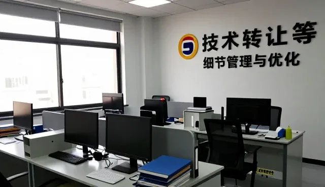 系统兼容性下的技术咨询实践与性能考量